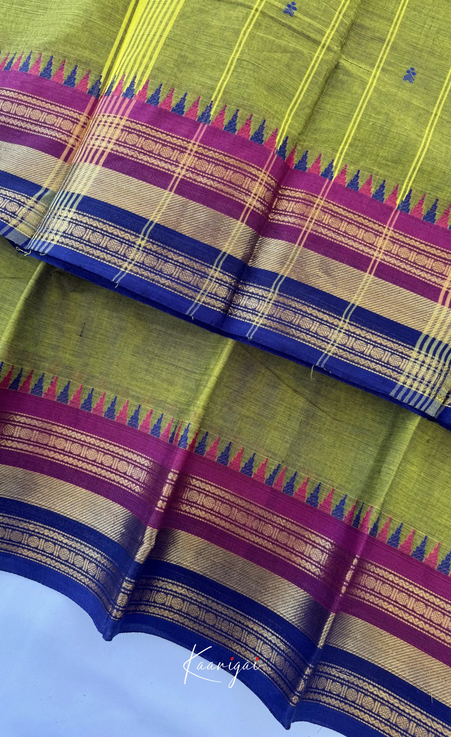 Nalinam - Light green and Multicolours Chettinad Cotton Saree - Sarees