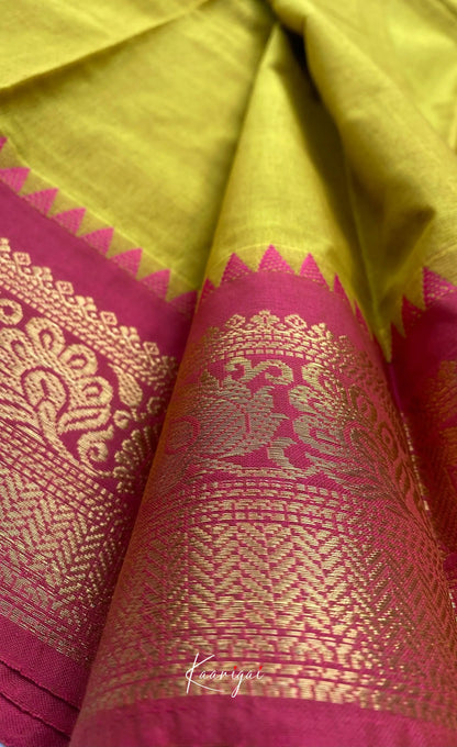 Chettinad Cotton Saree - Yellow tone Sarees