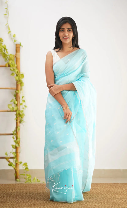 Aadrika- Light Blue Pure Maheshwari Silk Cotton Saree Sarees