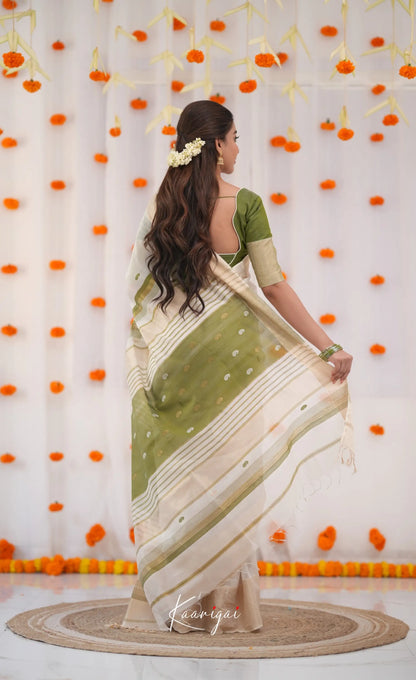 Maanvi Maheswari Silk Cotton Saree - White and Olive Green Sarees