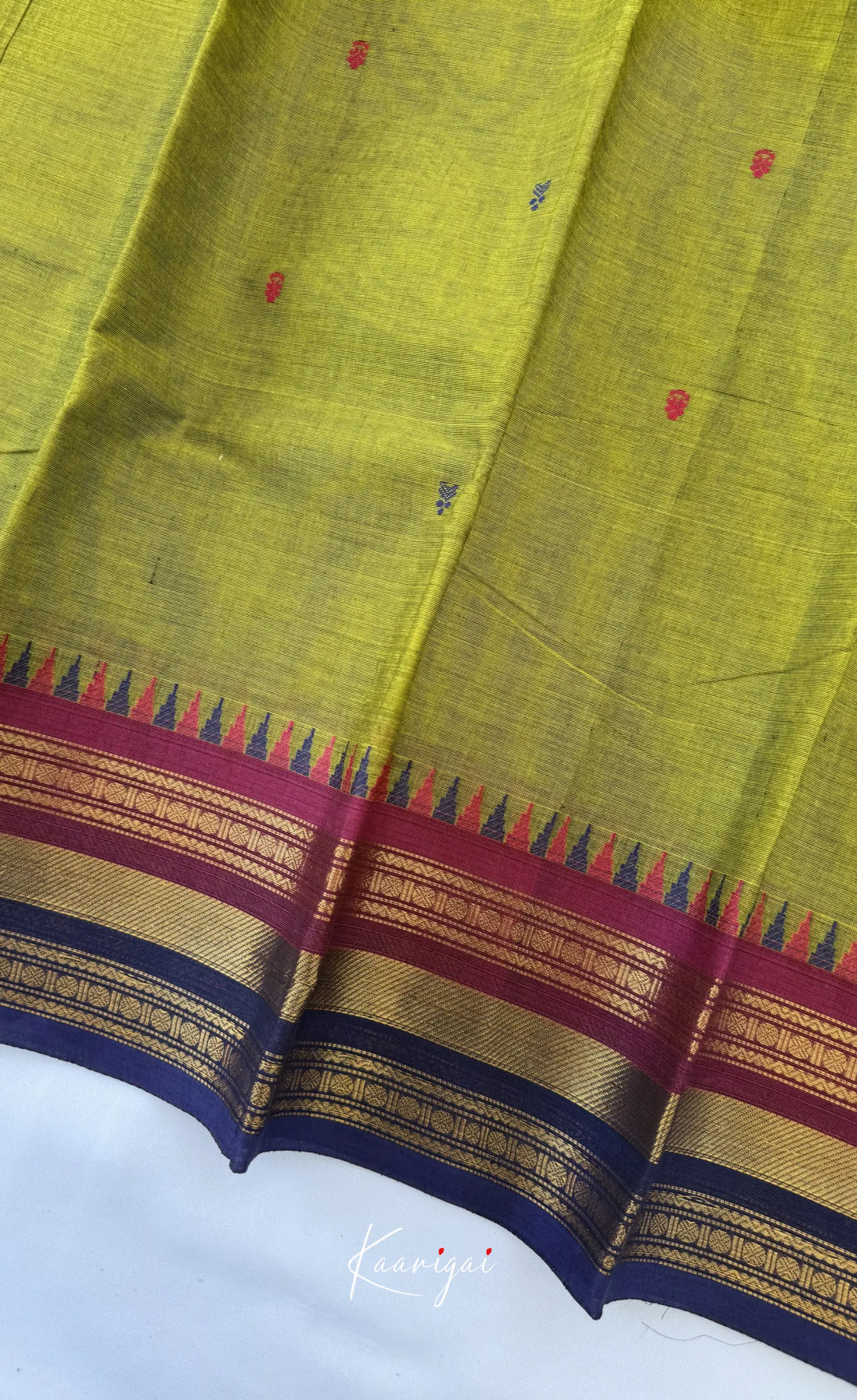 Nalinam - Light green and Multicolours Chettinad Cotton Saree - Sarees