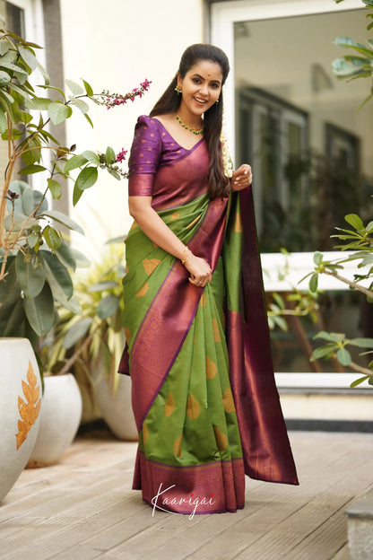 Sita - Parrot Green Semi Silk Saree Sarees